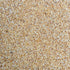 ORGANIC ONION, granules
